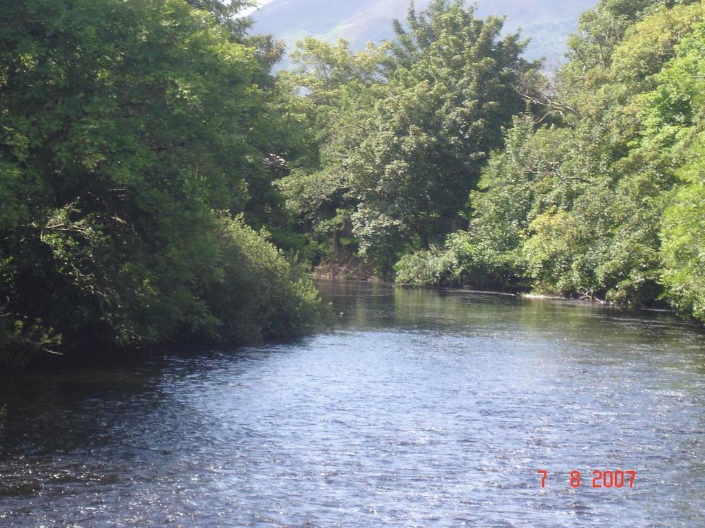 كيلارني Crystal Springs B&B المظهر الخارجي الصورة